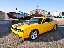 Glen Walton photograph at Warbirds Wings & Wheels 5, May 11th, 2013 at Estrella Warbirds Museum